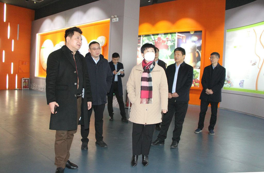 日照市副市长张金梅来注册即送28元体验金集团调研