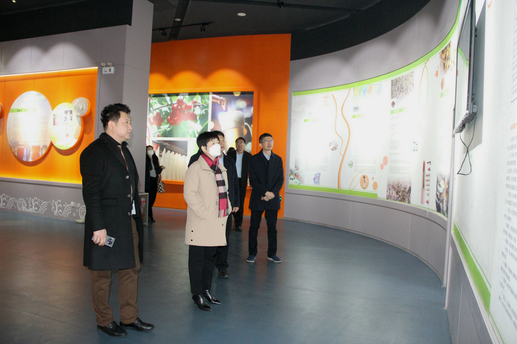 日照市副市长张金梅来注册即送28元体验金集团调研 日照市副市长张金梅来注册即送28元体验金集团调研